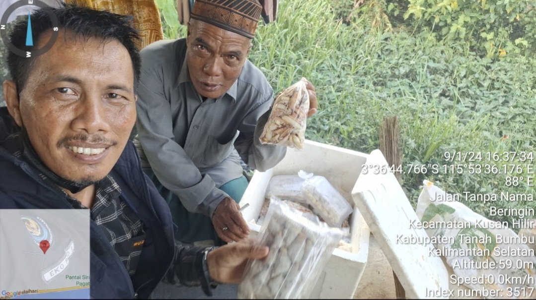 ekoprioraharjo's tweet photo. Minggu (01/09/2024)
Hasil hasil olahan prosesing kepiting rajungan sebanyak 30 kg oleh Bpk. Modding di Desa Sei Lembu, harga jual Rp 190.000/kg  dengan  total nilai jual kotor Rp 5.700.000.
#GiatLuhkanSatminkalBWI 
#luhlapor 
#TanahBumbu 
@bppsdm_bp3bwi
@pusluh_bppsdm
@bppsdm_kp https://t.co/bObrb6vuPg