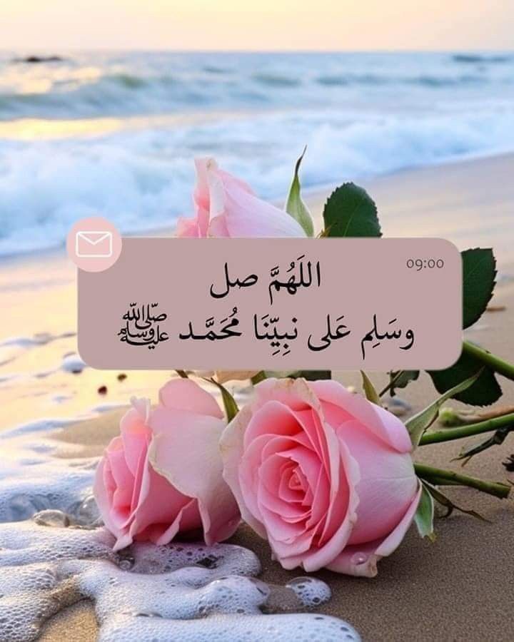 Aslam alikum ❤️ 
Kasy hn sab friends 
Good morning have a good day