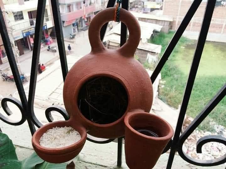 Kataksh__'s tweet photo. A small great effort #SaveLittleCreatures 
Let us also become a part of the Birds Nurturing campaign and keep food and water for birds around us, on the roofs and parapets of our houses.
#SaturdayMotivation #PerfectMotivation https://t.co/Xa32lBoIhk