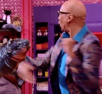 craigrrr's tweet image. This about to be Moo Deng’s Drag Race