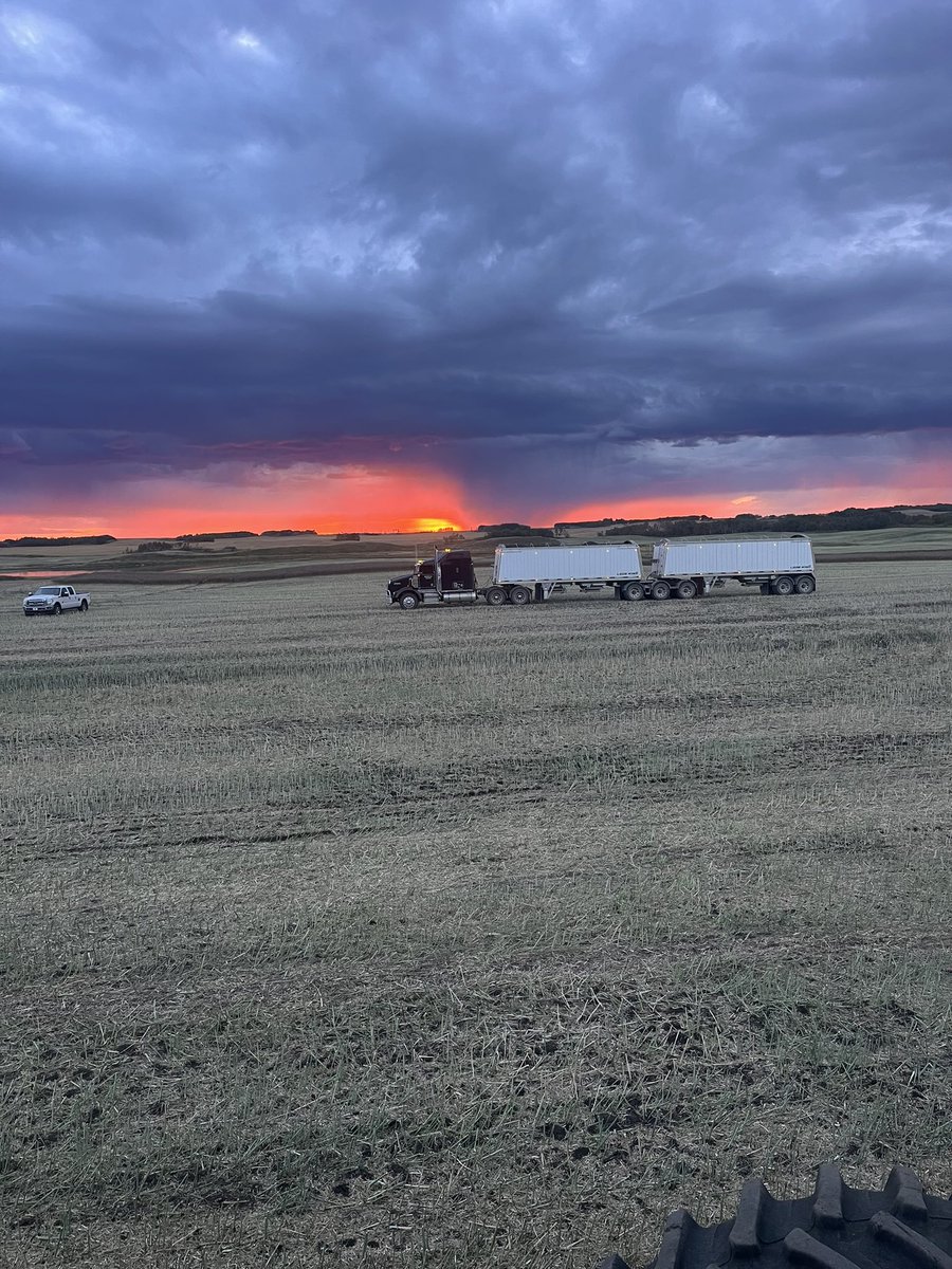 Can’t beat our view harvesting canola tonight!!!  <a href="/R_Gilly_18/">Ryan Gilchrist</a>  <a href="/grainhauler1995/">Braydon Gilchrist</a>  <a href="/vanny1169/">Ryan Van Genderen</a>