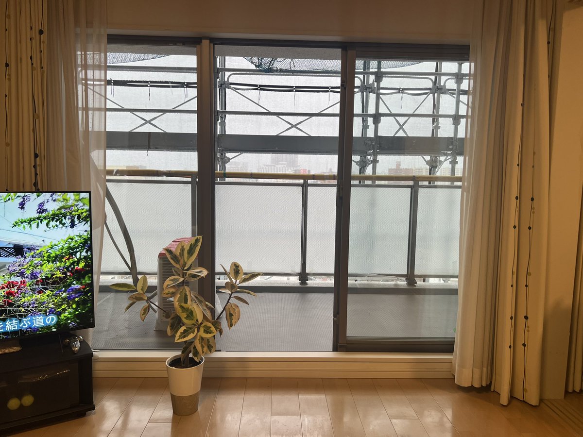 aimirai_sp's tweet photo. おはようございます😃

今日の予想最高気温は21℃💦エアコンはOFFにして窓を全開にしています。夏のカラダを秋にしたいと思います。只今、大規模修繕工事中で外の景色は見れません‼️ https://t.co/WKxdrCPnKF