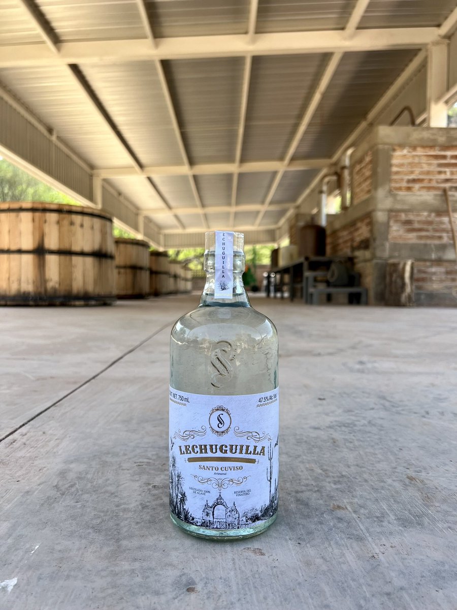 Javier Oroz Coppel tweet media