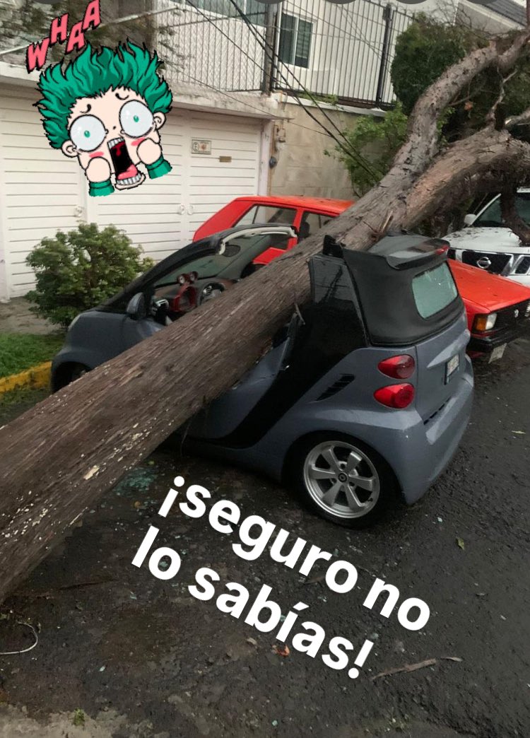 ¿Mi seguro cubre estos daños? Este sábado en la sección #SeguroNoLoSabías Norma Guzmán, experta en #Seguros nos explicará qué procede en estos casos. Escucha #pruebademanejo en <a href="/MAXIMA1067FM/">MÁXIMA 106.7 FM</a> #de9a11AM
