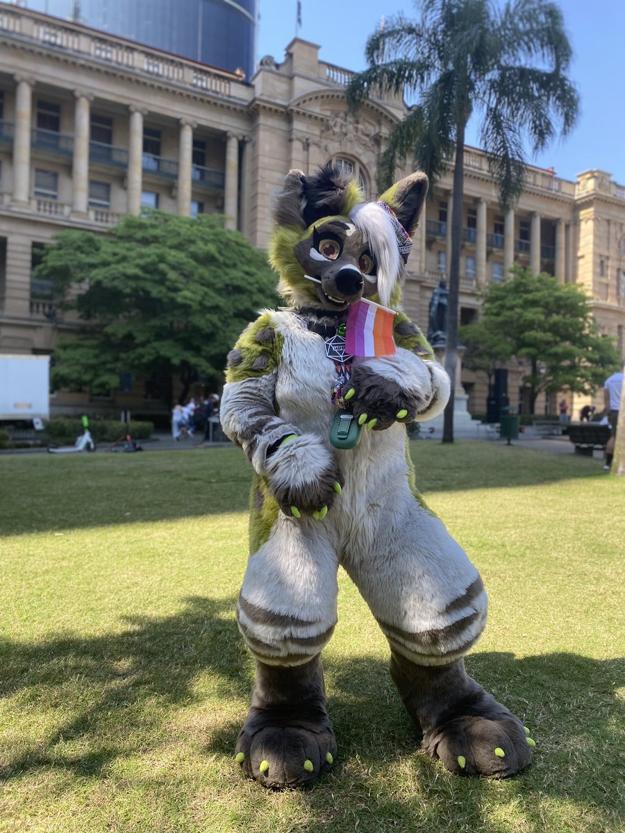 baby’s first pride 🌈
excuse my paw I was running around crazy