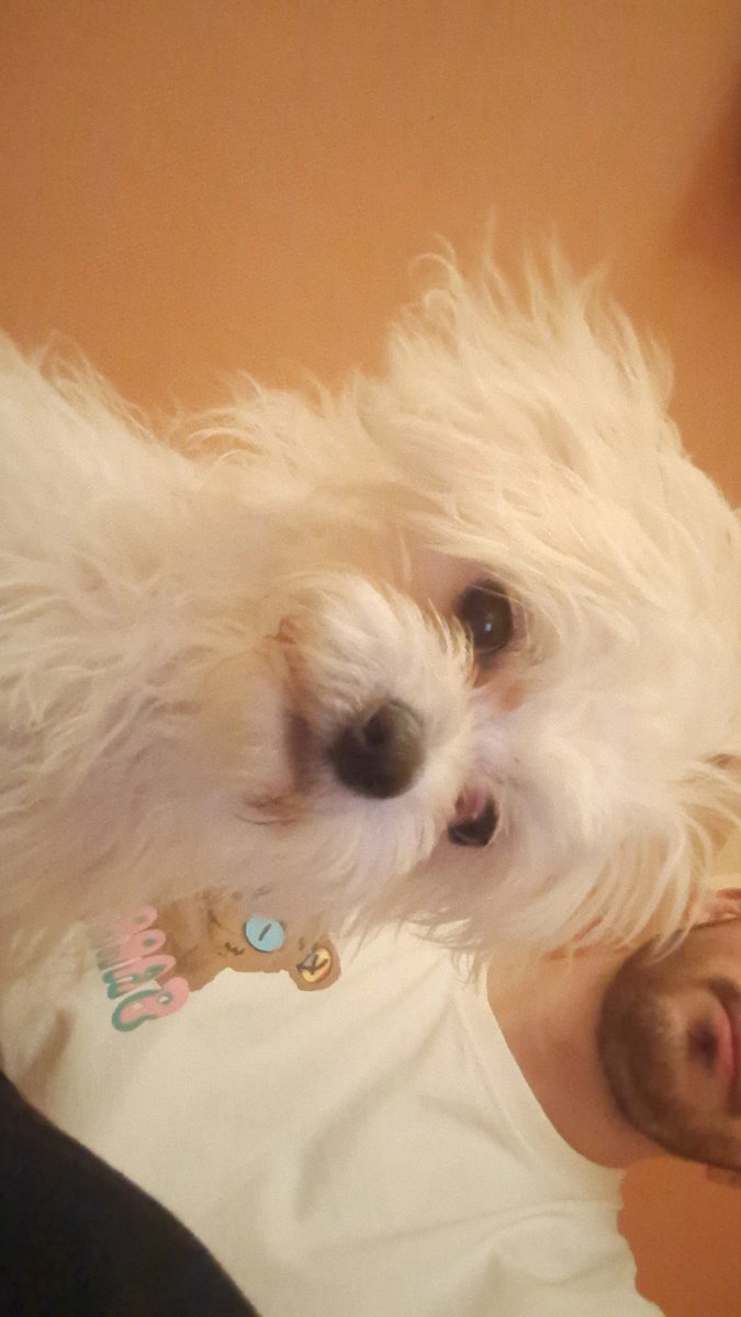 Gokhanin sorulara şu şekil bakıyoruz  #katmandates