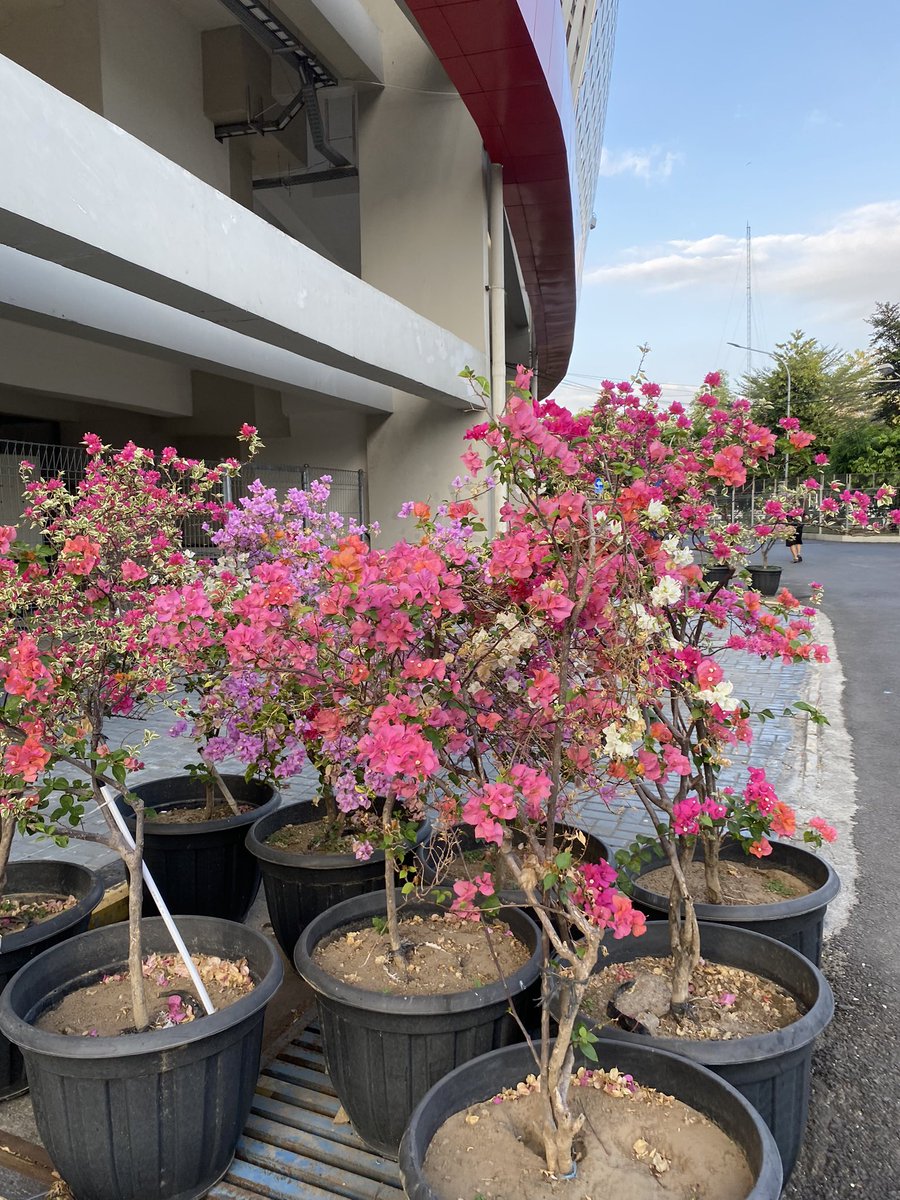 Memorabilia, memorable, memorably