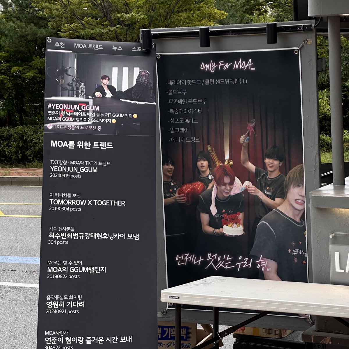 메모ᵃ코기 tweet media