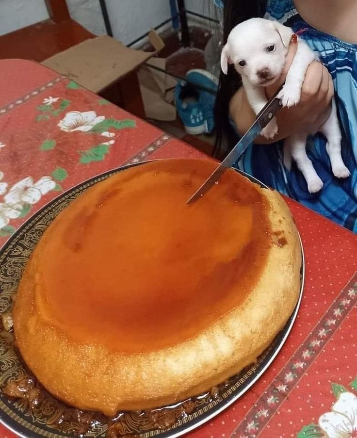 🍮