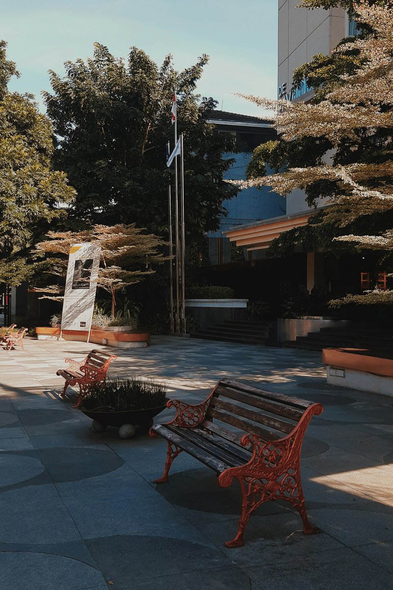 Ugh!  A tiny kitten ran across campus today and totally freaked me out.