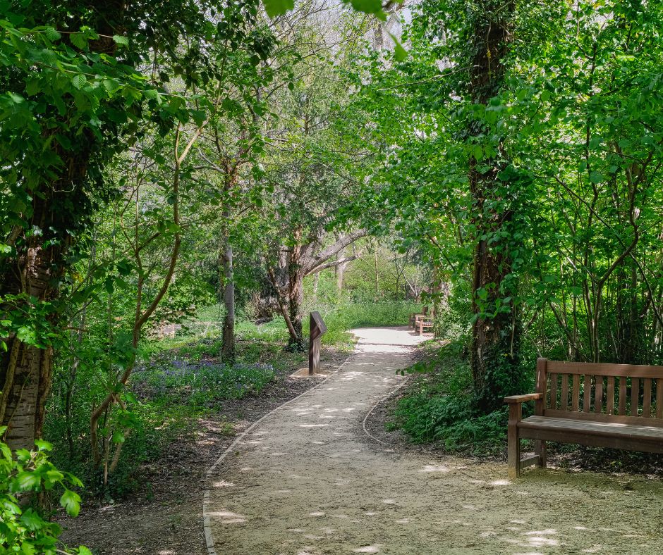 Make a difference to your local park! 🌳

Show your support at our next Community Volunteering task on Saturday 14th September. Help us re-lay a woodchip path to maintain the wilderness area in Great Linford Manor Park.

Book your free space: ow.ly/EwOr50Tf9AP
