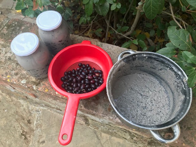 Find a Chimney Sweep tweet media