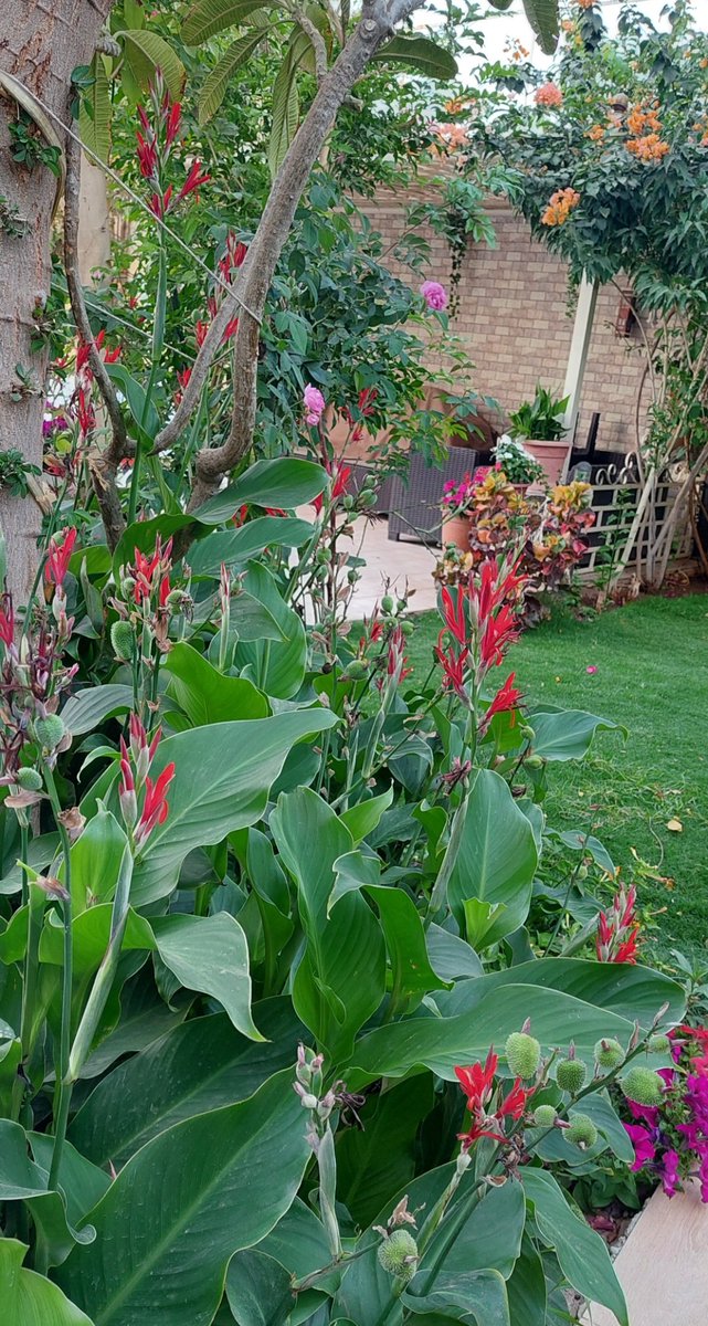 om_mohammad2010's tweet image. #صباح_الأشياء_المُشرقة
مع رائحة الصباح يولد للحياة أمل ... (فأبتسم وتفائل)
صباحكم سعادة وراحة بال
⚘️🌷🌹