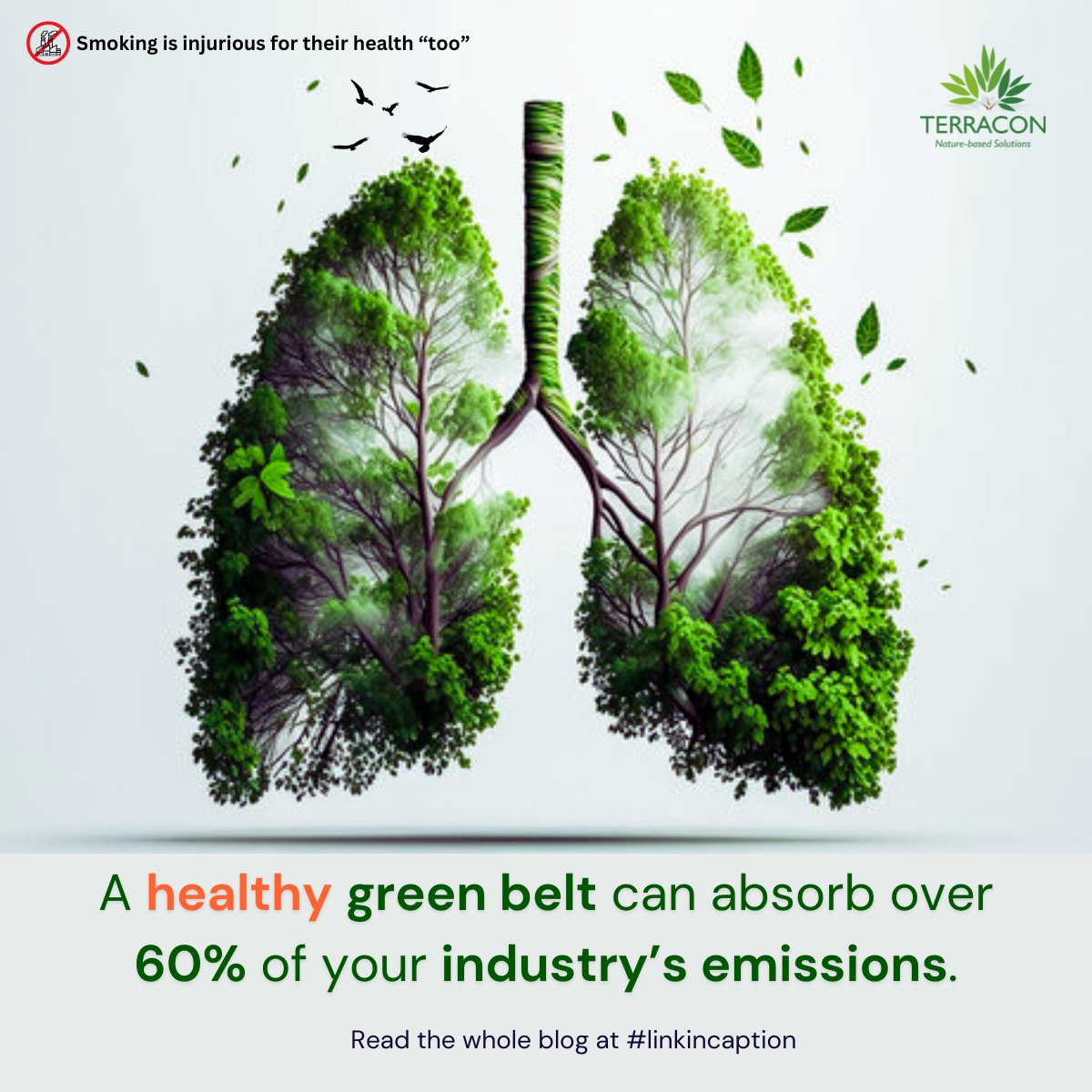 terracon_india's tweet image. Air pollution from industrial activities isn&apos;t just harming the environment; it&apos;s putting your employees&apos; health at risk. 

Discover how industries can take meaningful steps by implementing #greenbeltdevelopment terraconindia.com/2024/09/09/how…