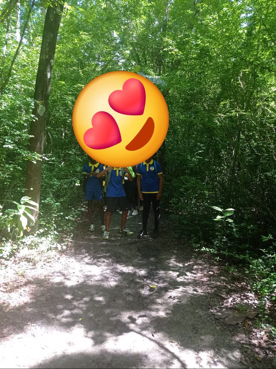 Une rentrée gle les 5 et 6 septembre organisée sous forme d'ateliers pour faciliter la cohésion des classes, ponctuée par l'initiation au gommier pour les 3è, l'initiation au kayak pour les 5è et la découverte du musée de la mangrove pour les 6è et les 4è à la forêt aux 3 ilets.