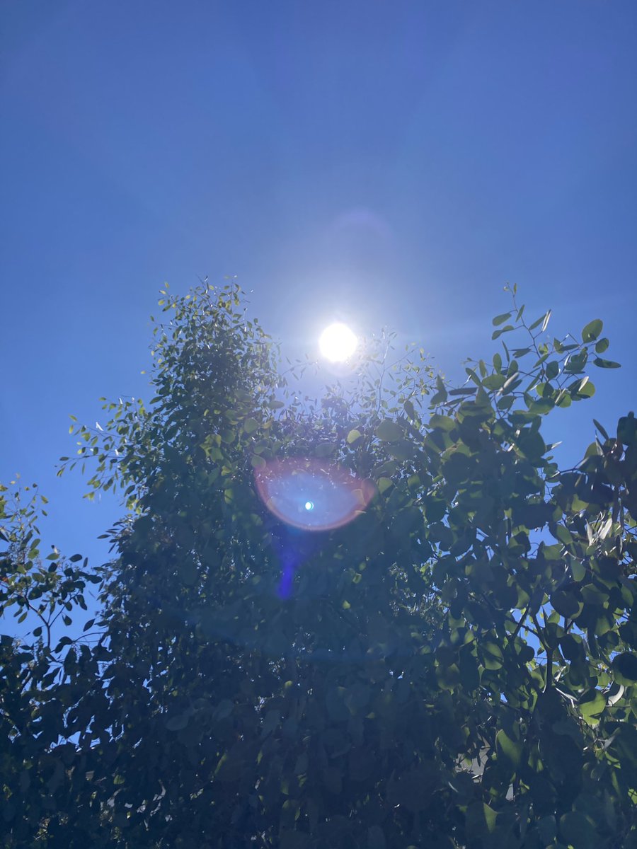 keeptrying2020's tweet photo. September 9th It's a sunny day 

#No.13
#ELLEGARDEN https://t.co/VELydrcd4z