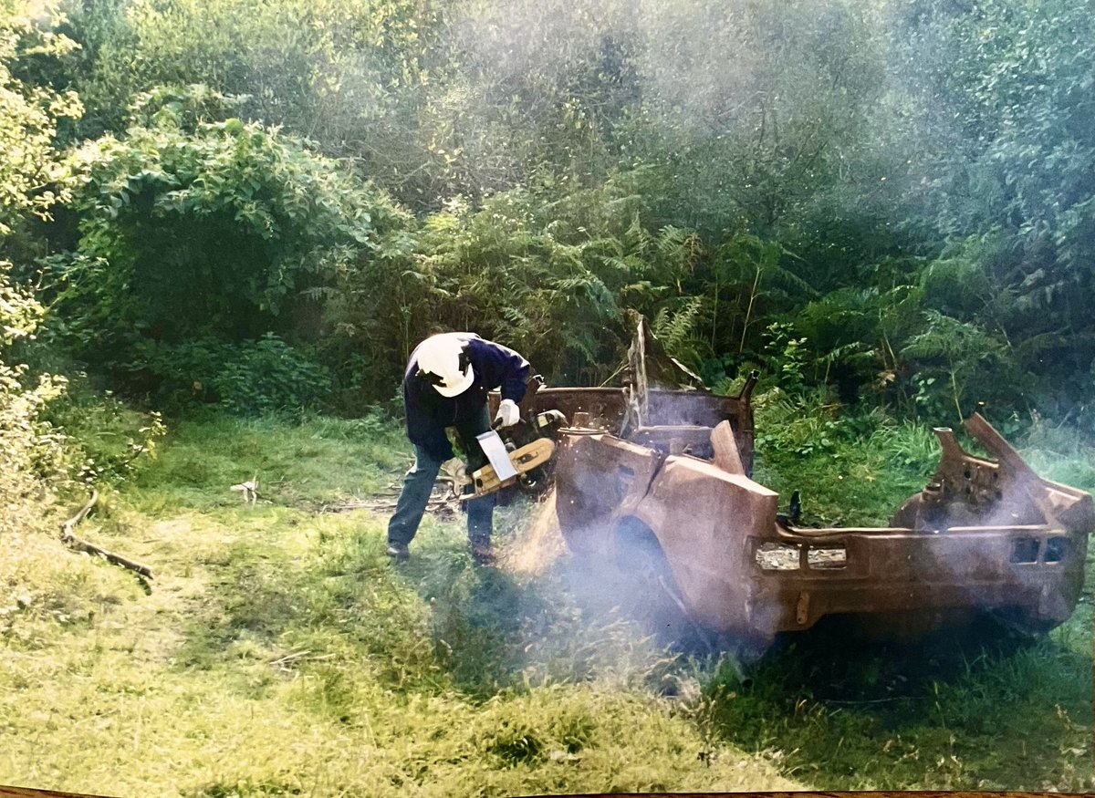 Prof Alex Ford tweet media