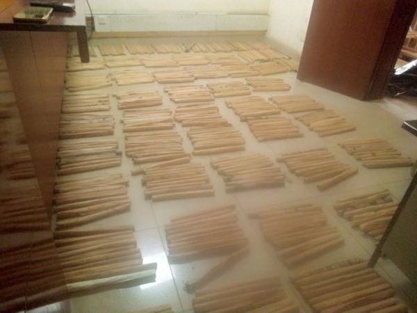 KRACorporate's tweet image. #NewsUpdate 
𝐊𝐑𝐀 𝐎𝐟𝐟𝐢𝐜𝐢𝐚𝐥𝐬 𝐈𝐧𝐭𝐞𝐫𝐜𝐞𝐩𝐭 𝟓𝟐𝟎 𝐑𝐨𝐥𝐥𝐬 𝐨𝐟 𝐂𝐚𝐧𝐧𝐚𝐛𝐢𝐬 𝐒𝐚𝐭𝐢𝐯𝐚 𝐚𝐥𝐨𝐧𝐠 𝐌𝐚𝐥𝐚𝐛𝐚-𝐊𝐚𝐧𝐝𝐮𝐲𝐢 𝐑𝐨𝐚𝐝.
On 8th September 2024, Customs Officers from Malaba One Stop Border Post, while on routine patrol, intercepted a Toyota…