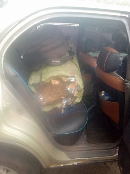 KRACorporate's tweet image. #NewsUpdate 
𝐊𝐑𝐀 𝐎𝐟𝐟𝐢𝐜𝐢𝐚𝐥𝐬 𝐈𝐧𝐭𝐞𝐫𝐜𝐞𝐩𝐭 𝟓𝟐𝟎 𝐑𝐨𝐥𝐥𝐬 𝐨𝐟 𝐂𝐚𝐧𝐧𝐚𝐛𝐢𝐬 𝐒𝐚𝐭𝐢𝐯𝐚 𝐚𝐥𝐨𝐧𝐠 𝐌𝐚𝐥𝐚𝐛𝐚-𝐊𝐚𝐧𝐝𝐮𝐲𝐢 𝐑𝐨𝐚𝐝.
On 8th September 2024, Customs Officers from Malaba One Stop Border Post, while on routine patrol, intercepted a Toyota…