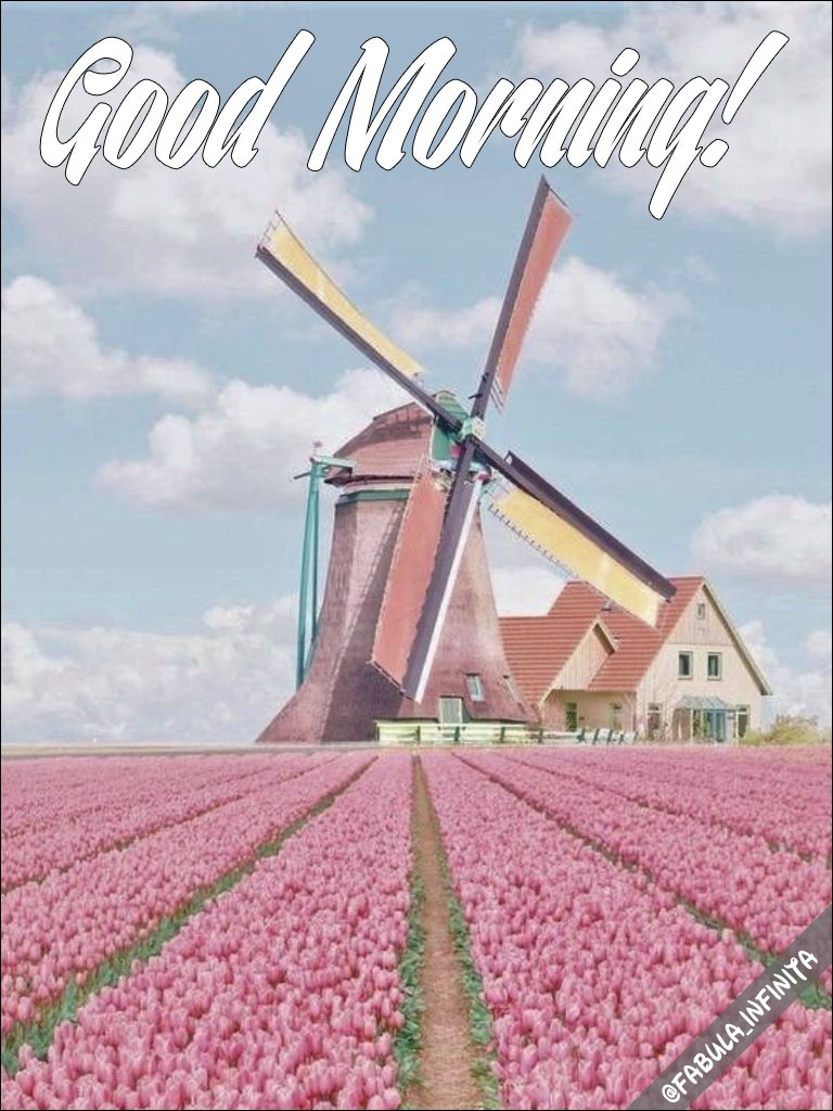 Fabula_Infinita's tweet photo. #GoodMorning #WindmillWeek https://t.co/8hpXPxj1si