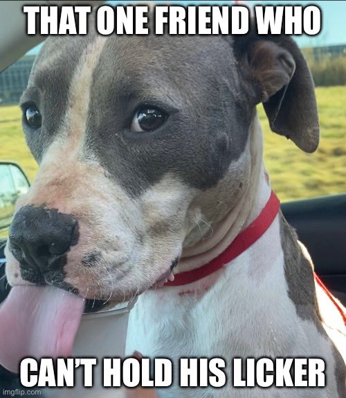 DawnaJacob's tweet photo. Are you that friend? #toomuchlicker https://t.co/RRTkbieeLA
