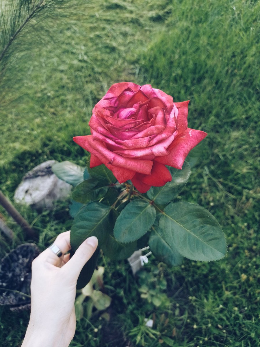 Cada foto es un recuerdo🥀