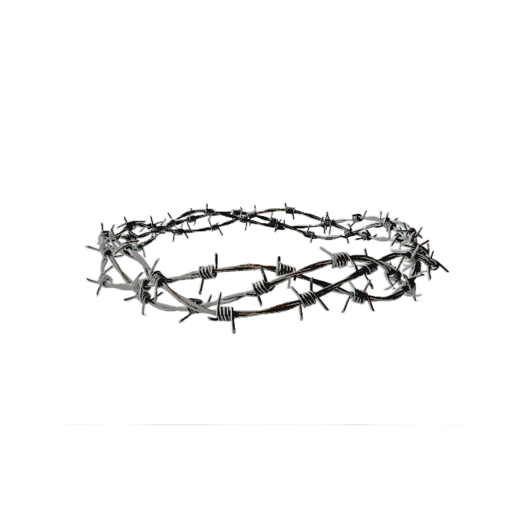 saintirae's tweet image. 