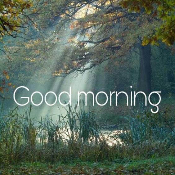 Good morning 🌄 
X family 🌺🌺 have a beautiful day 💖