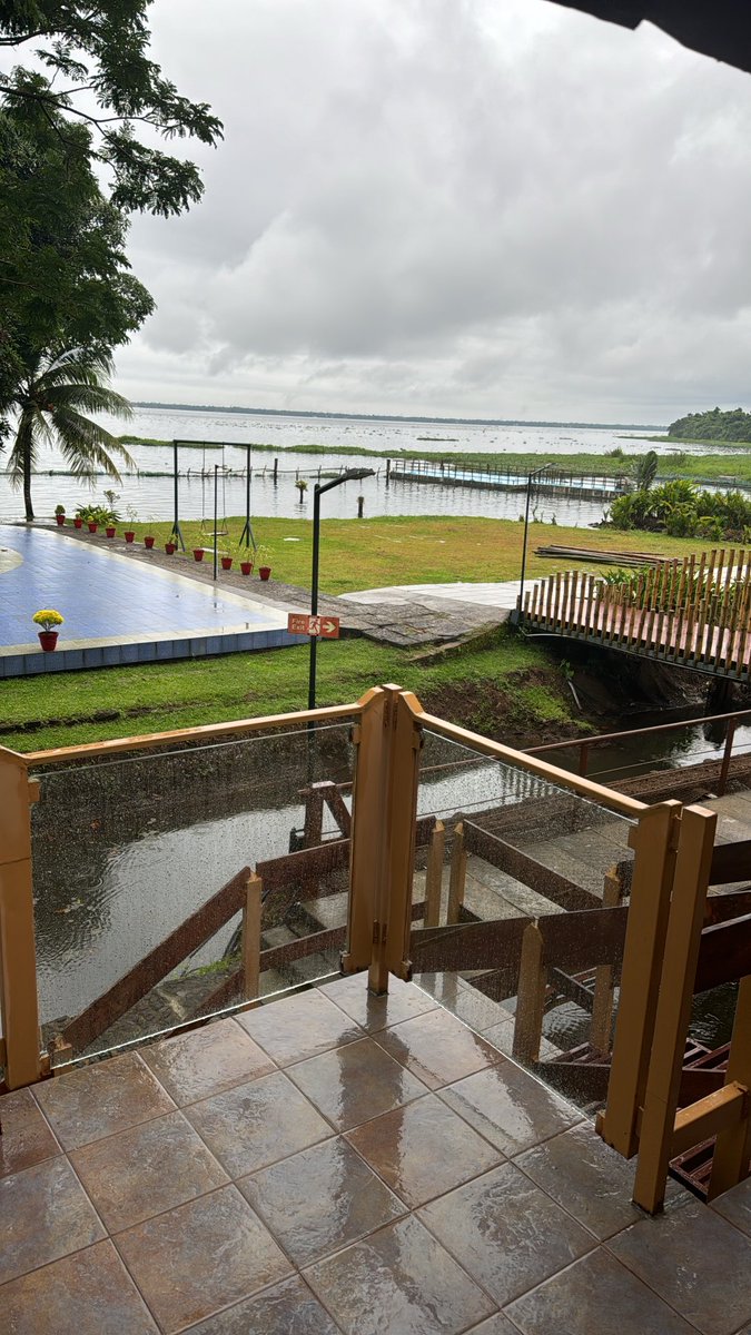 bhartijainTOI's tweet photo. #ViewFromTheRoom #VembanadLake #GodsOwnCountry https://t.co/11SDUbPxOF