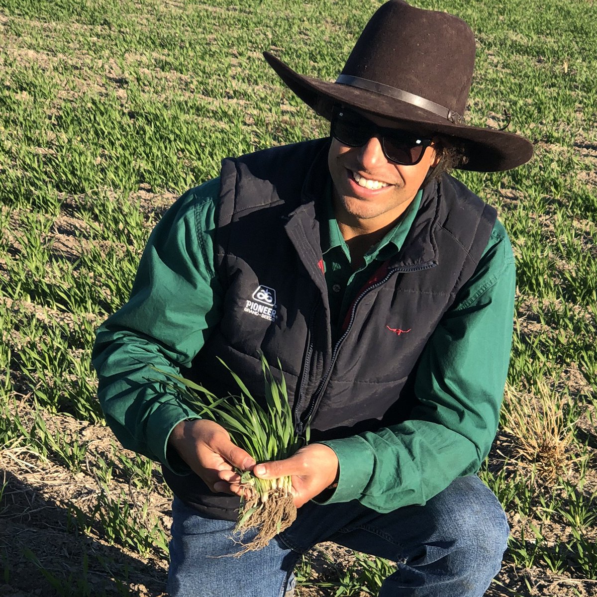 SoilsforLife's tweet photo. Field day! Build soil and plant health in broadacre cropping. 1st October near Goondiwindi QLD. Grower Will McInness talks about his plant and soil health ‘wins’. Biological agronomist Marco Giorgio Rego shares insights into biofertilisers. Tickets: https://t.co/P8PkdVMNWU https://t.co/Muk1l4sVQf
