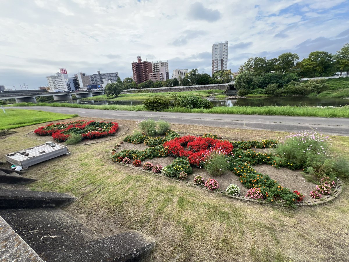 aimirai_sp's tweet photo. おはようございます😃

月曜日は気分が上がりますね。いつもより30分早起きしました。急ぎすぎず正確第一優先で行動したいと思います‼️
朝ウォーキングで元気な蝉の鳴き声が聞けました。 https://t.co/iK8S70fIYE