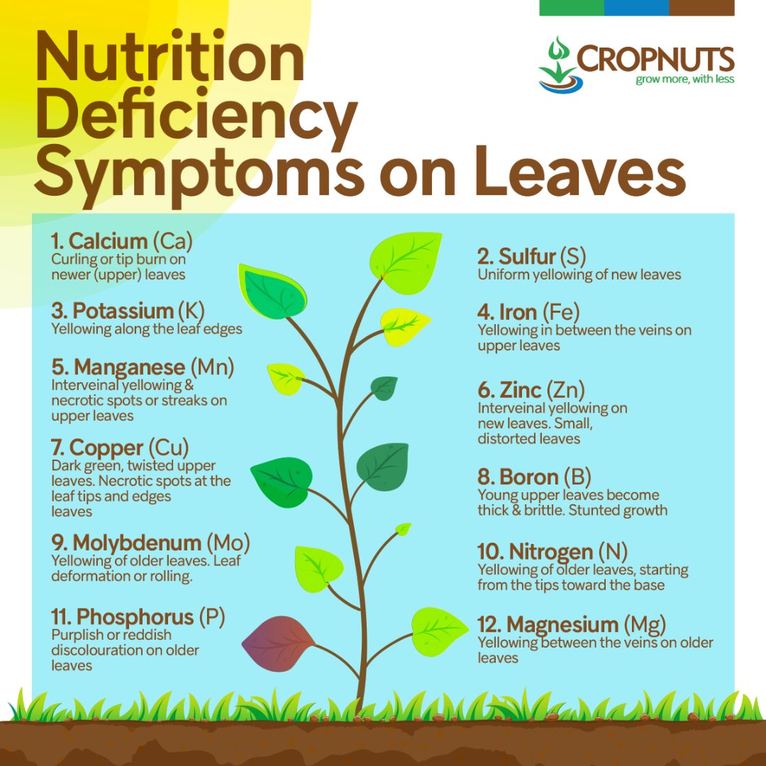 Crop Nutrition Laboratory Services (Cropnuts) tweet media
