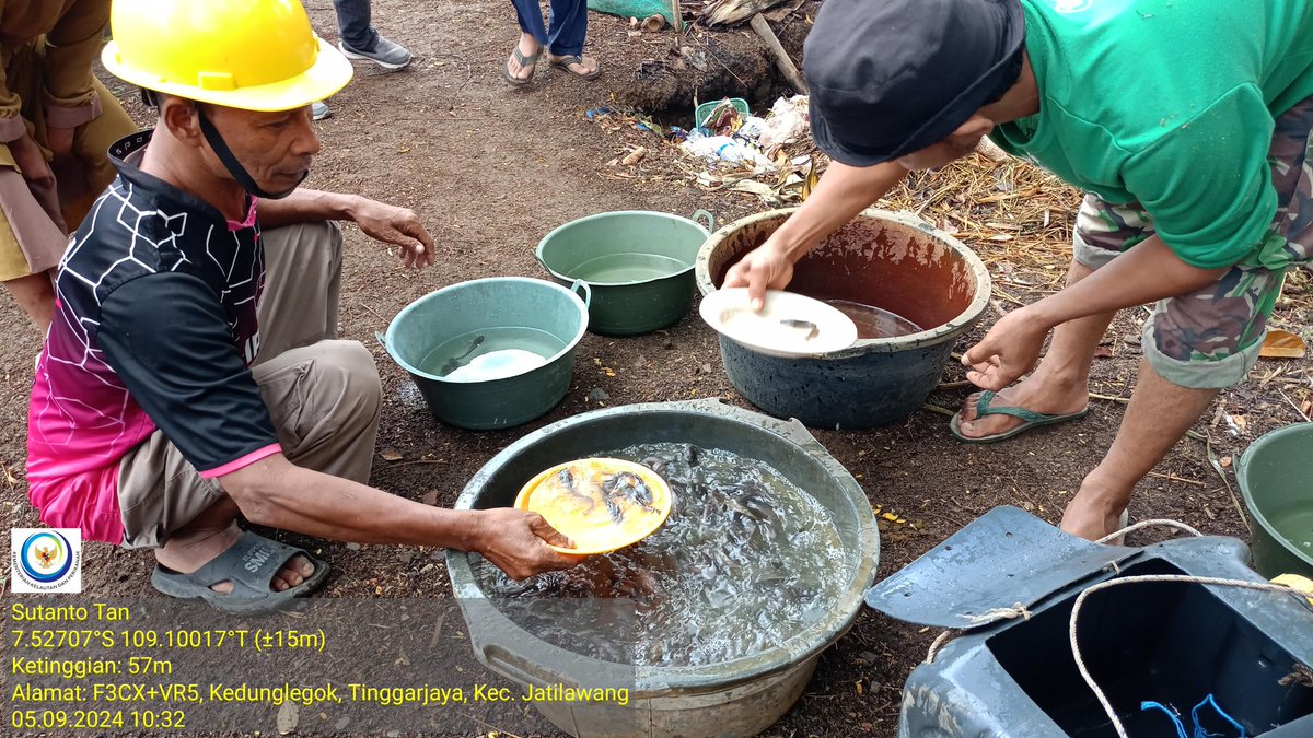 TantoPwt's tweet photo. Kamis, 05-09/2024 Pendampingan sampling, penghitungan n penebaran benih ikan lele program hibah sarpras budidaya ikan lele media terpal bulat kab. Banyumas di Pokdakan Mutiara Tirta ds. Tinggarjaya kec. Jatilawang bsm Dinkannak kab. Banyumas
#LuhLapor
#GiatLuhkanSatminkalTegal https://t.co/qNcajoMQFg