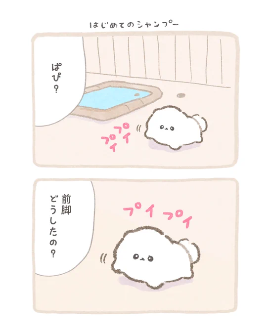 「はじめてのシャンプー」
#ふわふわポメのぽぽち 9話 1/3 