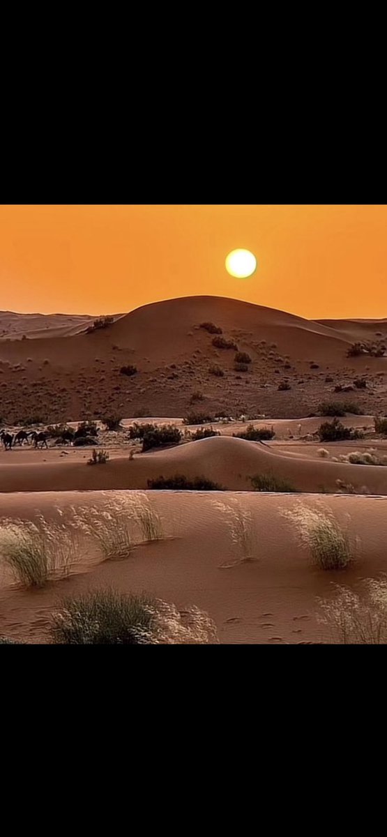 اللَّهُمَّ بِكَ أَصْبَحْنَا، وَبِكَ أَمْسَيْنَا، وَبِكَ نَحْيَا وَبِكَ نَمُوتُ وَإِلَيْكَ النُّشُورُ.