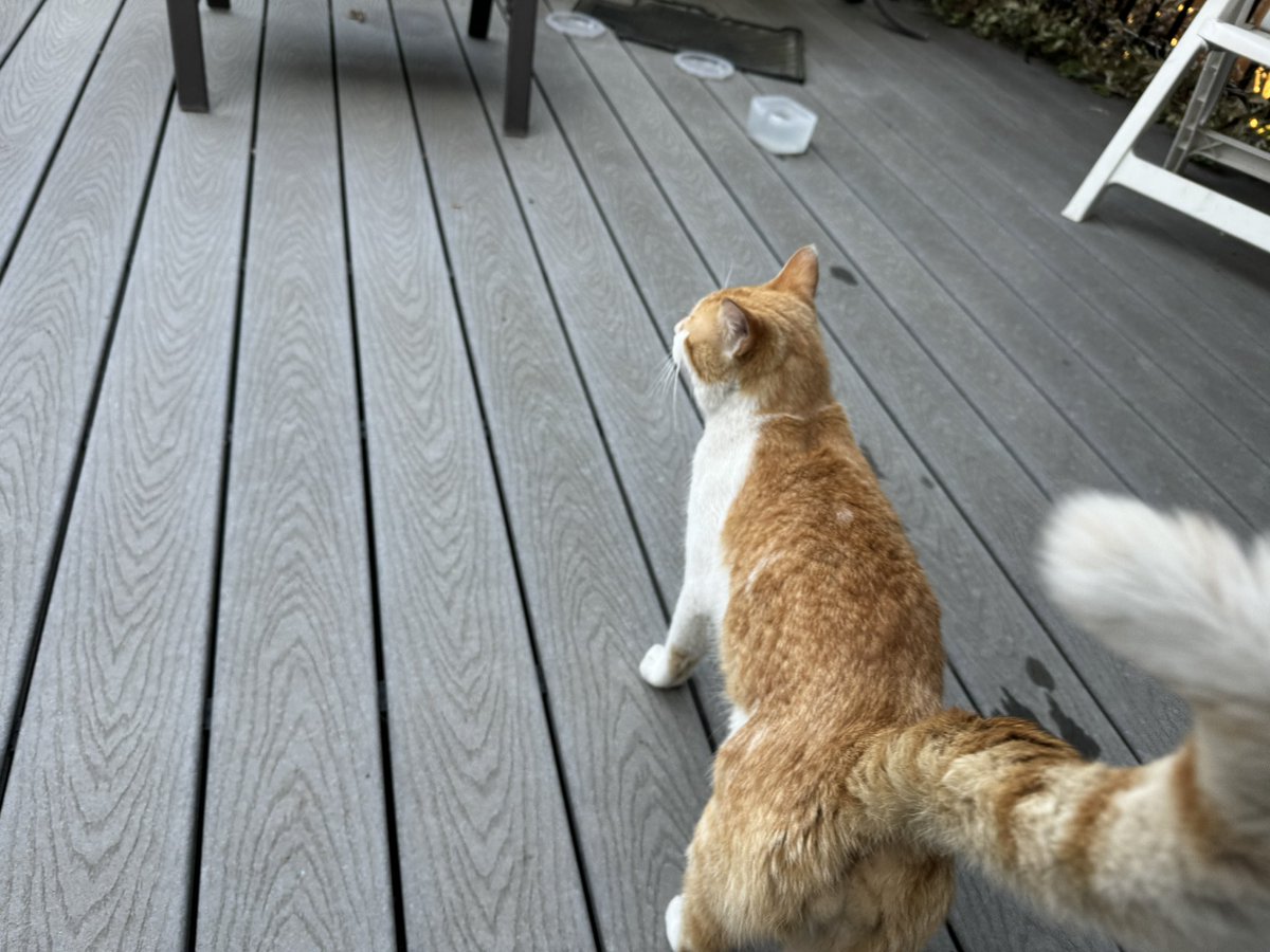 MichellePhoto tweet media