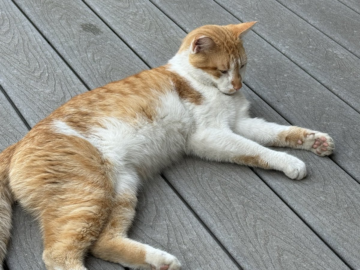 MichellePhoto tweet media