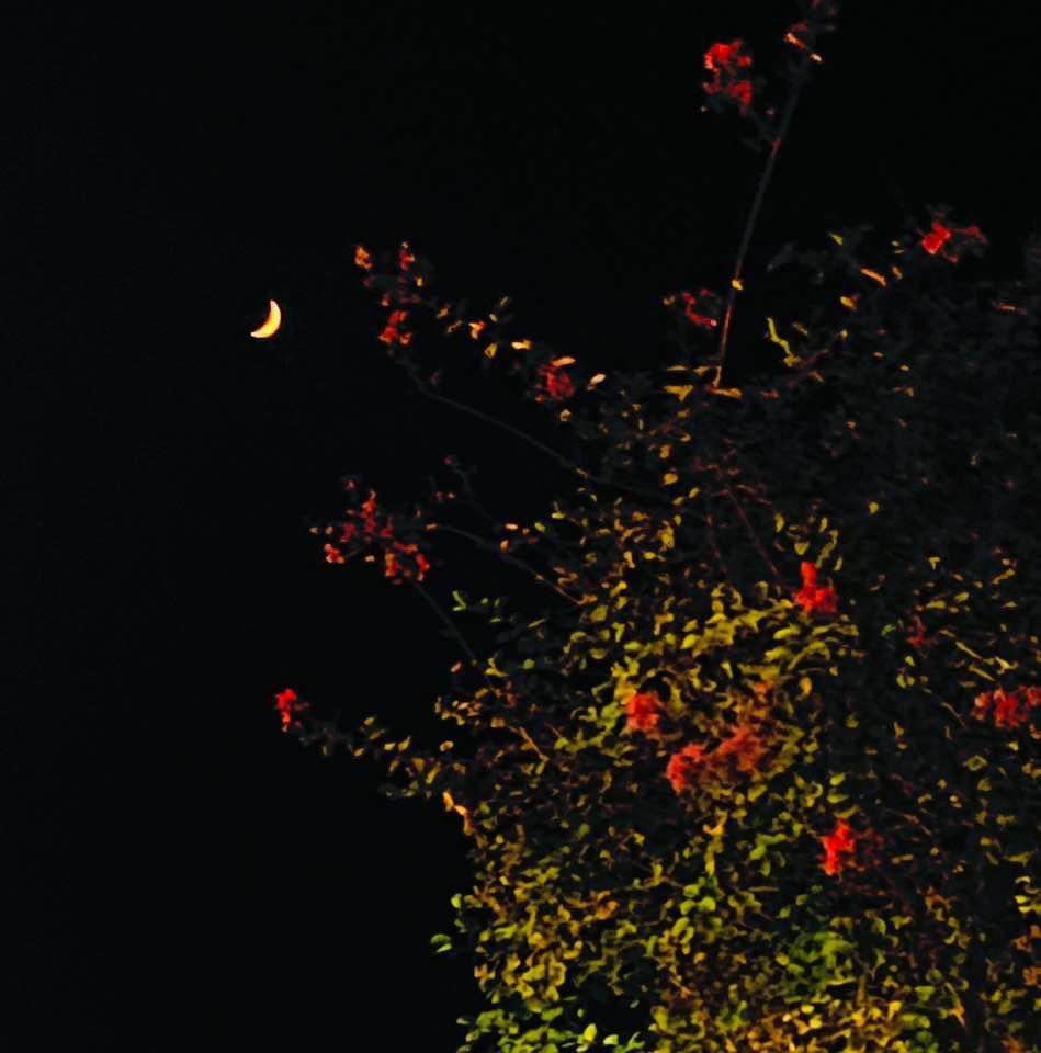 Marcel Khalife (@marcel_khalife) on Twitter photo 