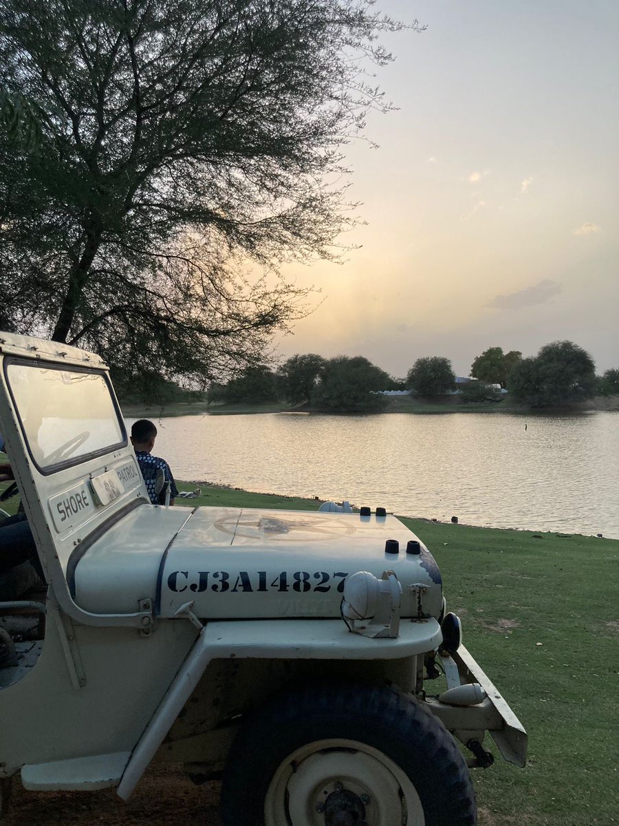 triptidaudsar's tweet photo. Willys has a different fan base. 

#lefthanddrive #willys #jeep https://t.co/Ixzi3ohcph