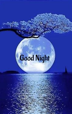 BellaRae1971010's tweet photo. Ending the day with gratitude and peace. 🌌 Wishing you all a restful night and dreams full of possibilities. Good night! 😴💖 #GoodNight #Gratitude #SweetDreams #PositiveEnergy #RelaxAndRecharge https://t.co/j33Ts5kHJ3
