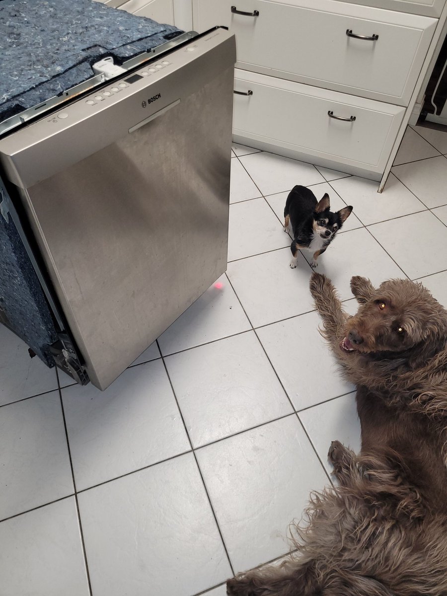 SaucemanCometh's tweet photo. @steelorcaio It's up and running and not leaking
#GoodHelp
Now, back to the built-in rotisserie
I saw at the parts store.... https://t.co/a6sjIYj17e
