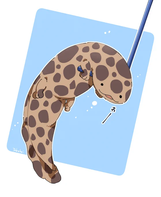 ( ˙～˙ ) #オオサンショウウオの日 