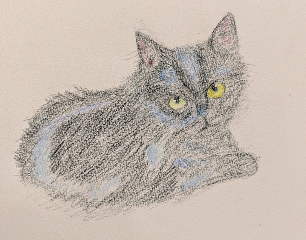 artclassCHICORA's tweet photo. 黒猫さんを描くと、まっくろくろすけになりがちですが、黒以外の色も使って、上手に描いてくれました。
目が生き生きとしてとても素敵です。
教室には172色入り色鉛筆もあります。一緒にのんびり絵を描きに来ませんか？
平日昼間子供のための絵画教室
＃フリースクール
＃絵画教室
＃アトリエちこら https://t.co/kfezpam5DO