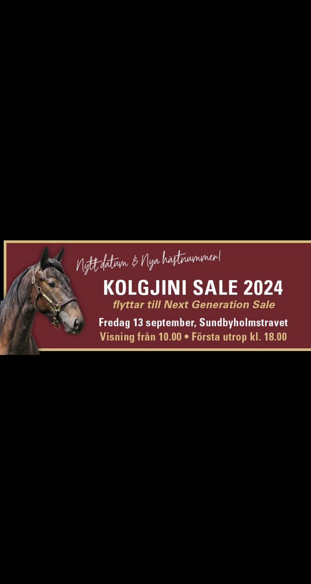 Glöm ej bort att det är nytt datum för Kolgjini sale. Nu på fredag går hästarna upp i ringen i samband med next generation sale på Sundbybolm!