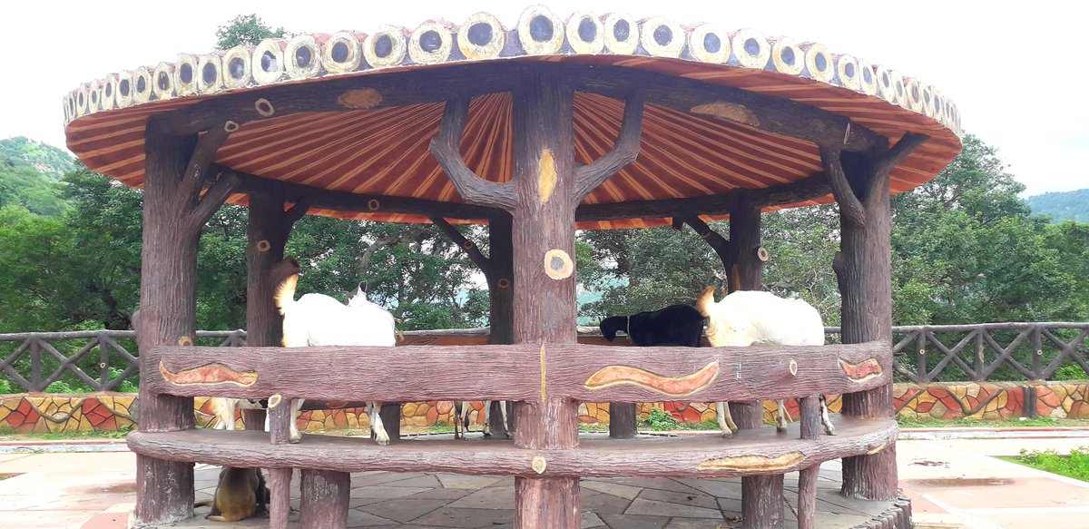 alwarprinting🇮🇳 tweet media