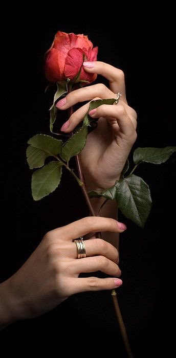 Unas_letras_'s tweet photo. En cada despedida, siempre dejo un fragmento de mí en el viento, confiando en que la memoria lo recoja y lo lleve hasta donde estás.
AlexRoch
#poesia #poemas #escritos #frases #UnasLetras #AlexRoch https://t.co/WCdjzi6LCp