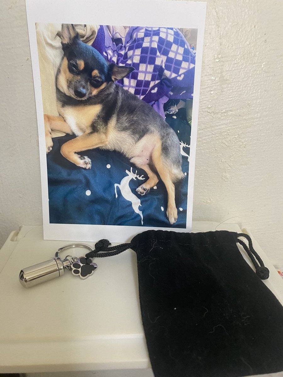 啾啾旅途圓滿結束

 #高雄 #三性 #左營 #個工 #小隻馬 #外約 #約會 #呼吸  #付費約會 #愛愛 #內射 #單身  #現約 #私訊 #女裝 #女音 #女樣 #跨性別 #TS #prep