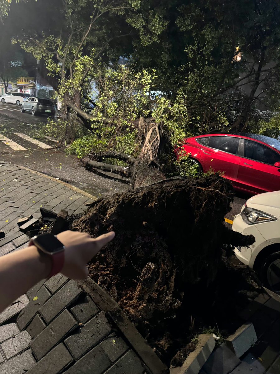 DriveGreen80167's tweet image. Just a small dent 
#Model3P #Tesla $tsla #TyphoonYagi