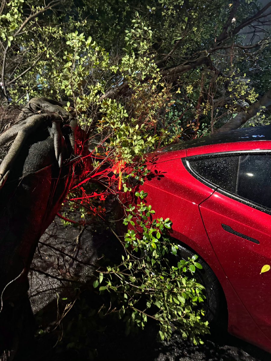 DriveGreen80167's tweet image. Just a small dent 
#Model3P #Tesla $tsla #TyphoonYagi