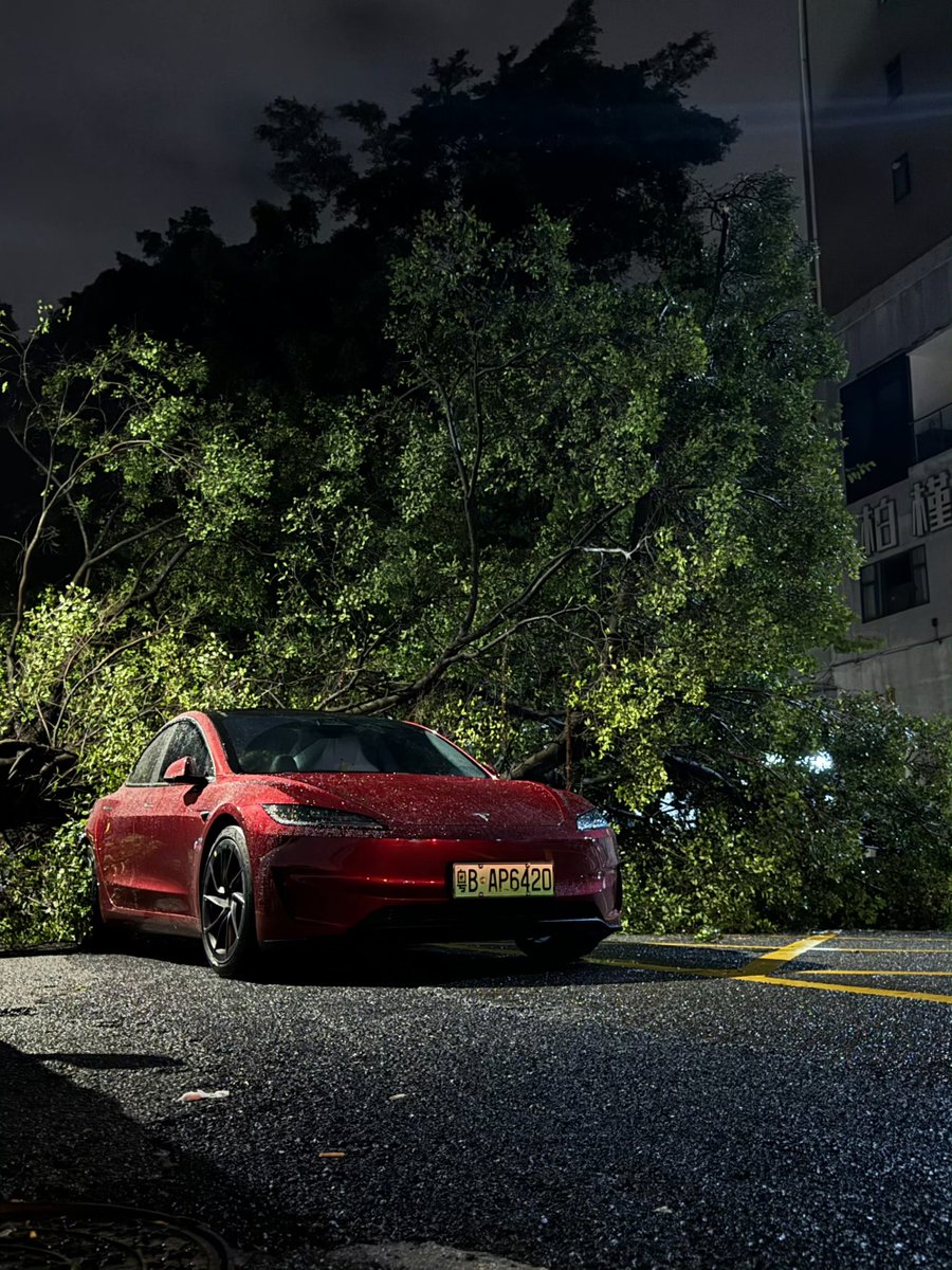 DriveGreen80167's tweet image. Just a small dent 
#Model3P #Tesla $tsla #TyphoonYagi